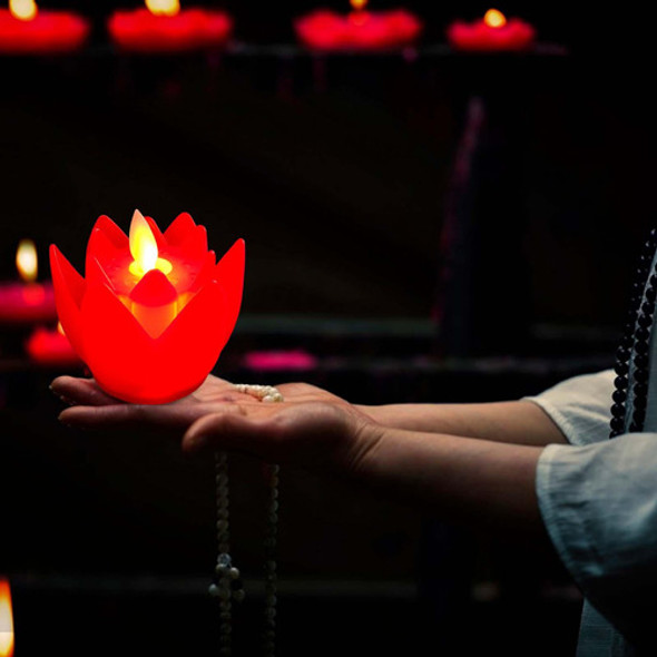 5 X 2-6 Pacotes De Luz De Lâmpada De Lótus, 7,5cm X 7cm 1 5 X 2-6 Pacotes De Luz De Lâmpada De Lótus, 7,5cm X 7cm 1