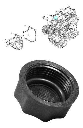 Tampa Oleo Daily 35s14 2014 500301568 Orig 1