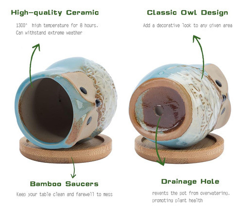 Warmplus 2.5 Pulgadas Owl Succulent Plant Pots - Mini Jardin 1
