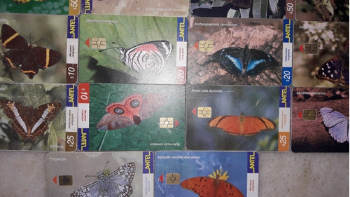 25 Tarjetas Telefonicas,mariposas Del Uruguay 0