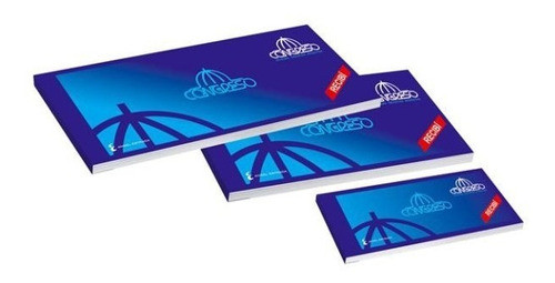 Talonario Recibo Chico Congreso X40 208x80mm 0