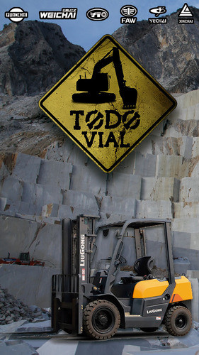 Oring Sello Perno Maestro Direccion Heli Lonking Todo Vial 1