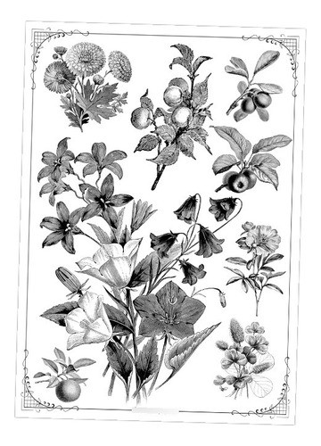 Flores Vintage #03! Lámina Para Transferencias 21 X 29 Cm 0