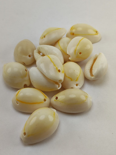 Caracol Buzio Amarillo Con Agujeros X25 Piezas . 0