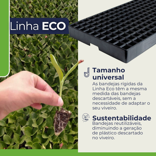 Bandeja Rígida Produção Muda 200 Células 11ml Sementeira Jks 1