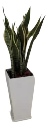 Combo Sansevieria + Maceta Piramidal Fibrocemento + Plato 0