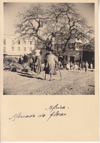 1951 Tanger Fotografia Real Mercado De Flores Marruecos Raro 0