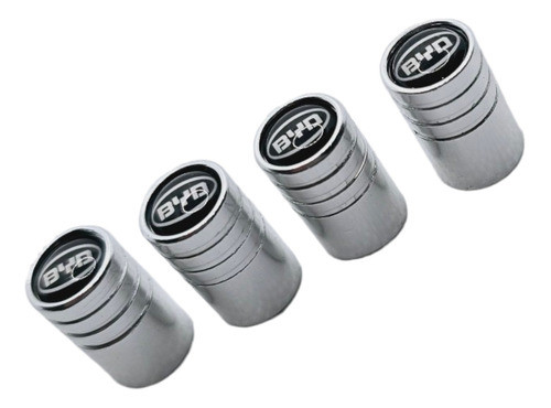 Tapitas De Válvulas  De Byd Seagull, New E2  Etc.(plata) 1