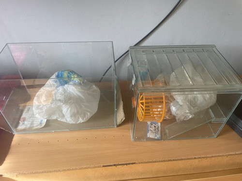 Vendo Cajas Para Hamsters Con Accesorios 1