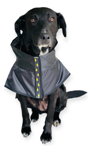 Piloto De Lluvia Para Perros Modelo Warning Talle 60 0
