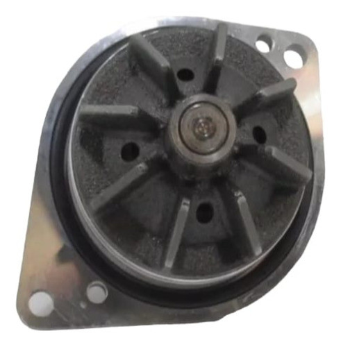 Bomba De Agua Ford F-100 / F-4000 4.10 / 6.10  Mwm Original 0