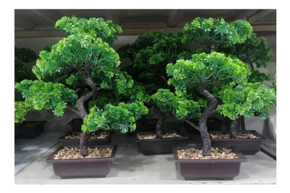Bonsai Artificial 25cms De Alto 0