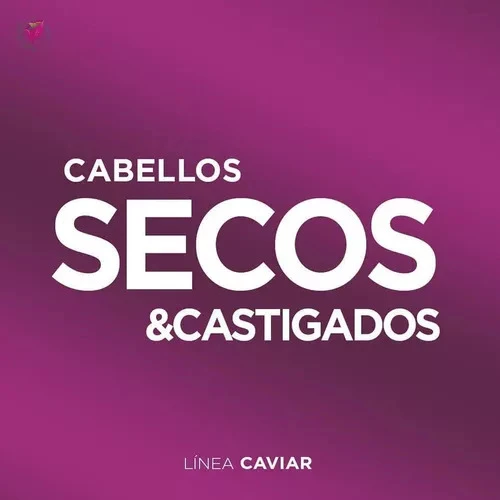 Acondicionador Cabellos Secos Y Castigados Caviar 260ml 1