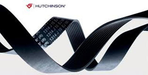 Correa Poli V Hutchinson 6pk 1155 0