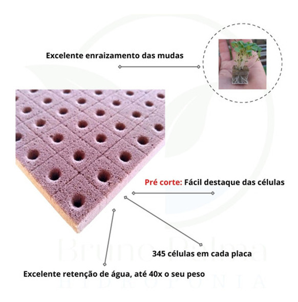 Espuma Fenólica - 2x2x2 - 345 Células - Alface 1 Espuma Fenólica - 2x2x2 - 345 Células - Alface 1