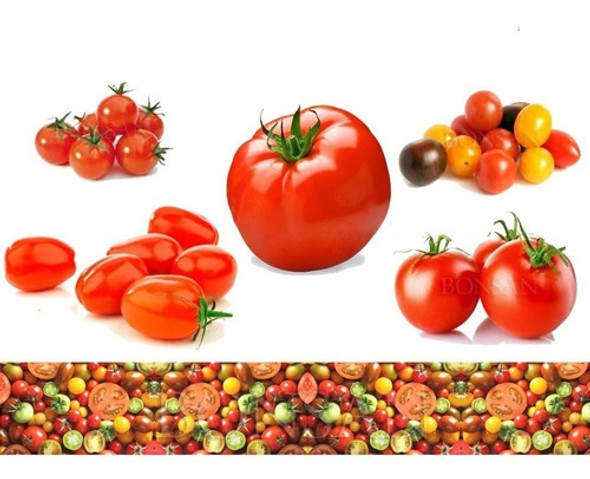 Set Semillas Tomates Perita Redondo Platense Cherry Huerta 0