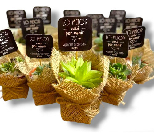 Plantita Souvenirs X10 Suculenta Decoradas Arpillera Isiflor 1