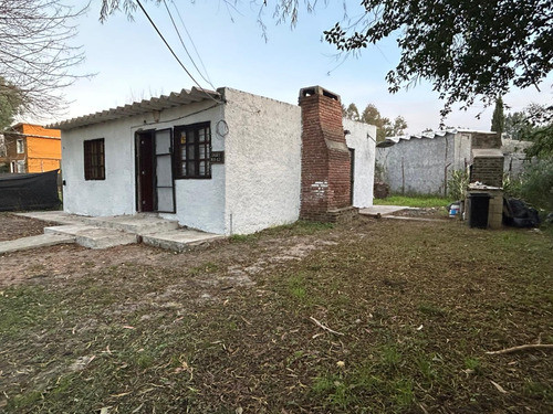 Alquiler En Padrón Único 1