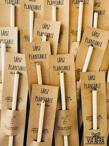 75 Lápiz Plantable Semilla Cartón Personalizado Souvenir 0