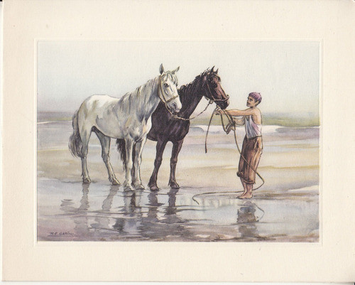 Postal Imagen Caballos Con Dibujo De Esteban Roberto Garino 0