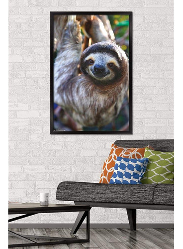 Trends International Sloth - Smile Wall Poster, 22.375  X 34 1