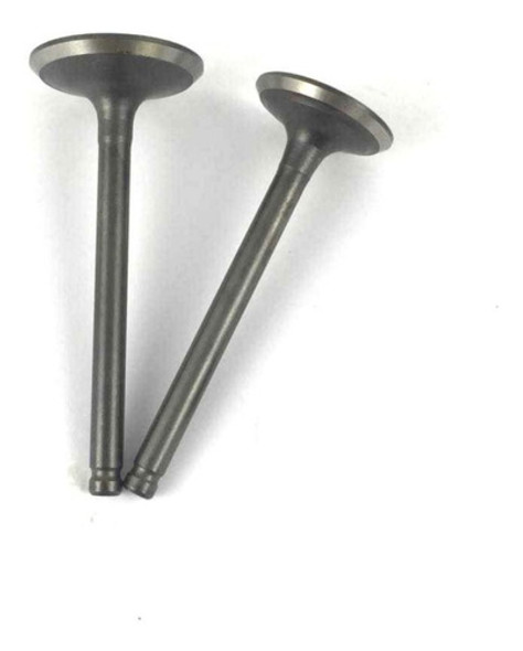 Valvula Set 2 Pzas - Cg / Gs2 / Gts °-° 0