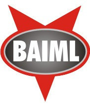 Plaqueta Electronica Para Faro 1035/1033e Ambar Baiml 1