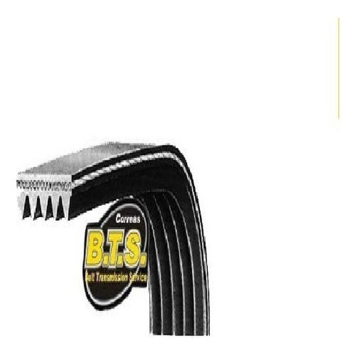 Correa Poly V 5pj - 1370  Nacionales Bts Drean Family Philli 0