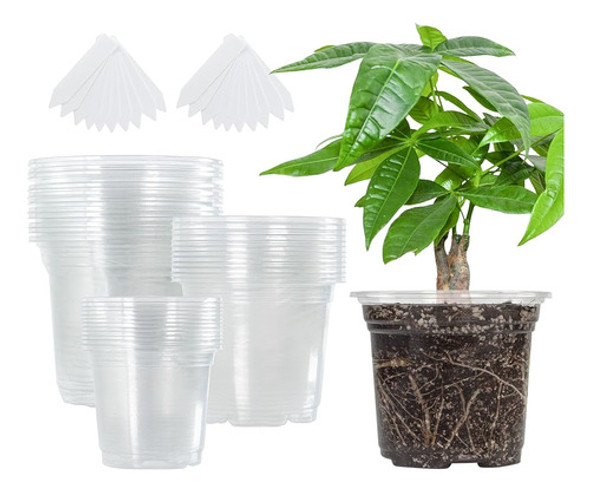 Bonviee 36 Paquetes De Macetas De Vivero Transparentes De 3. 0