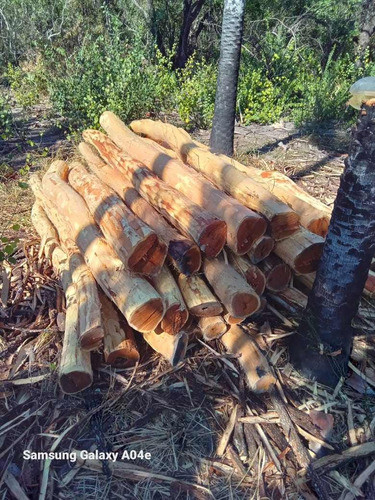 Poste De Vinal Y Estacones Para Boyero Por Equipo 1