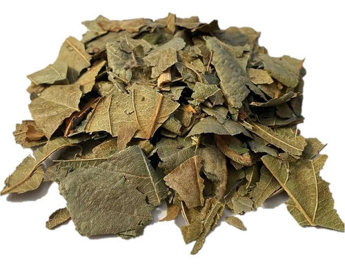 Níspero Hojas 1kg 0