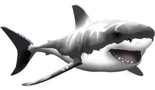 Decalque De Parede Gigante De Grande Tubarão Branco Vwaq, A 0
