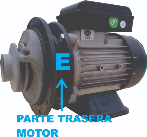 Parte Trasera De Bomba Igui 1