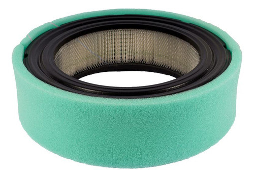 Maxpower 334392 Filtro De Aire Y Prefiltro Para Briggs Y Str 1