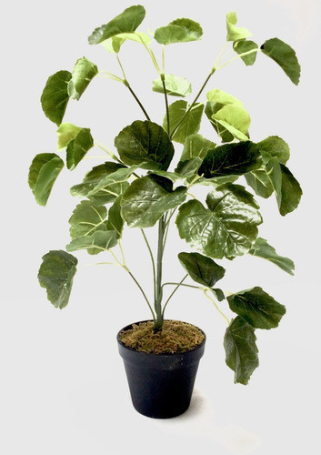 Planta Artificial Money Bag 0
