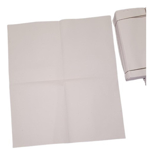 Jornal Pet Branco 3kg Extra Grande Biodegradavel 96x66 0
