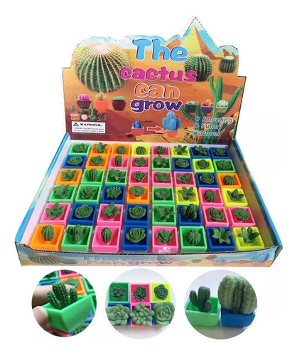 Pack X24 Cactus Crece En Agua Souvenir Varios Modelos 0