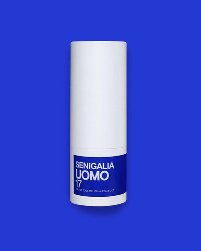 Perfume Uomo 17 Edt 100ml 1