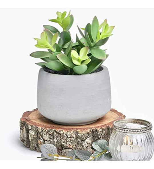 Kurrajong Farmhouse Faux Succulent In Pot - Faux Plants Deco 0