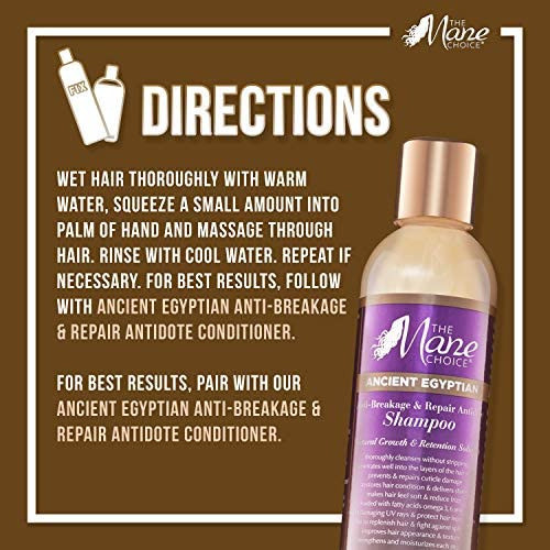Shampoo Anti-quebra Da Coleção Mane Choice Ancient Egyptian 1