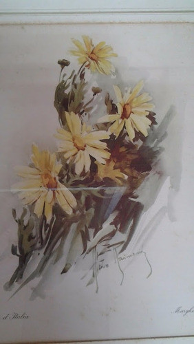 Gravuras Italianas Floral Fiordalsi E Marg- 38x46 Cm 1