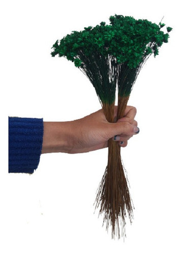 400 Sempre Vivas Decoração Casamento Lembrança Verde Escur 1