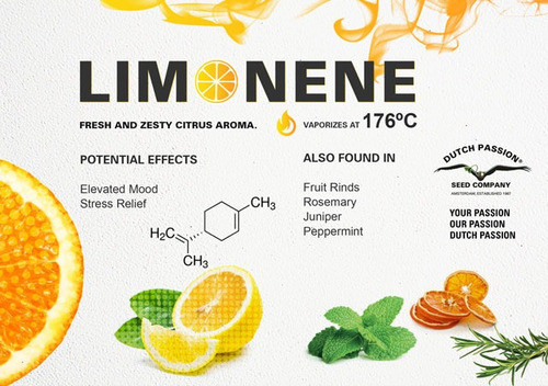 50g Aceite Esencial D-limoneno Materia Primas Terpeno 1