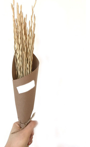 Ramo Flores Secas Naturales Preservadas Deco Rey Graff 0