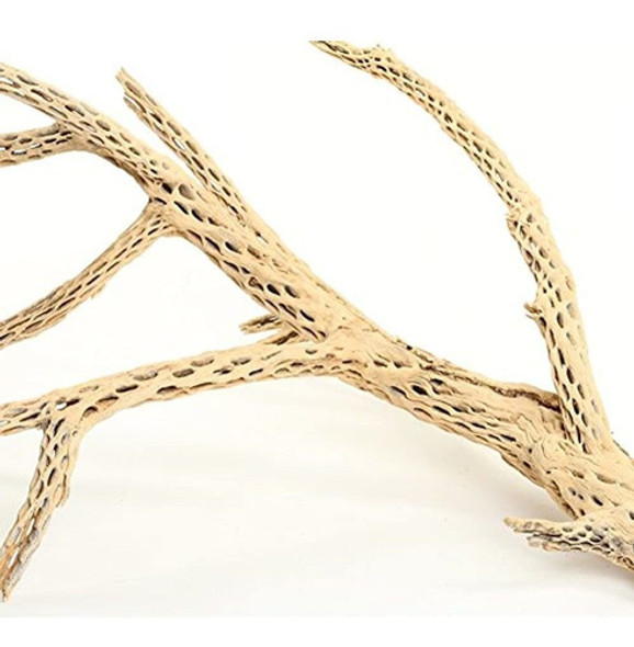 Koyal Wholesale Cholla Wood Acuario Ramas Airplants Decor Re 1