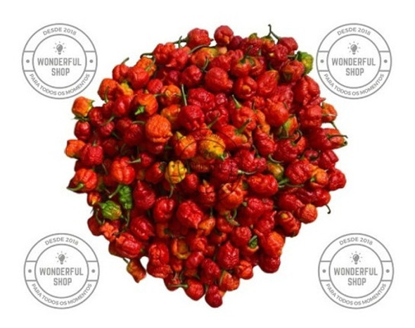 Pimentas Frescas In Natura Carolina Reaper Red - 50 Unidades 0
