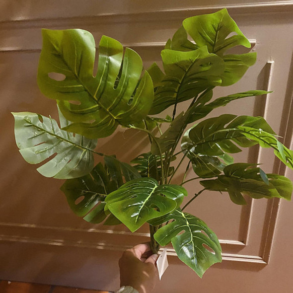 Planta Eterna Sin Maceta De 18hojas 0