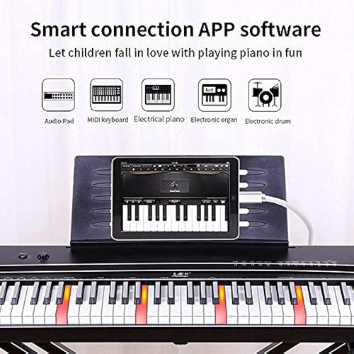 iPhone A Usb B Midi Cable 5ft, Lightning A Usb 2.0 Midi Inte 1