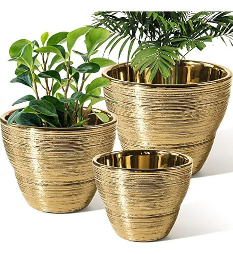 Patio, Césped Y Jardínjardinería Y Cuidado Del Céspedmacet 0