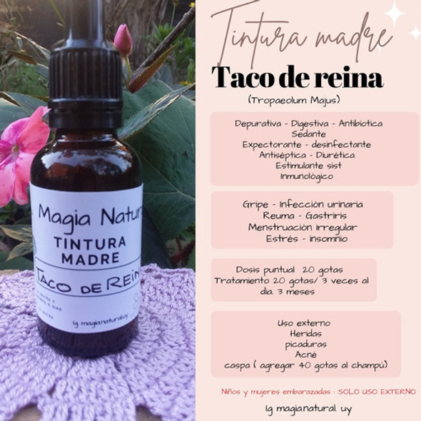Homeopatía Tintura Madre Taco De Reina . Magia Natural. 1 Homeopatía Tintura Madre Taco De Reina . Magia Natural. 1